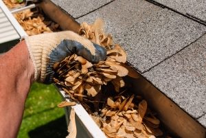 gutter cleaning belle vernon